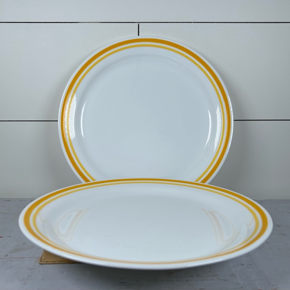 Set 2 Vintage Corelle by Corning Citrus Dinner Plates